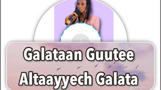 Galataan Guutee Altaayyech Galata [upl. by Ainesy212]