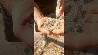 Tsunami Evidence at Margaret River Sculture Park [upl. by Aube559]