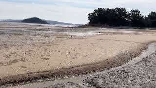 Tombolo to tombolo on wider mudflats along the coast [upl. by Ayo]