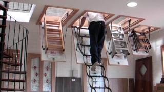 Murphy Larkin Attic Stairs Attic ladders [upl. by Danette]