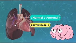 Sonidos Respiratorios Normales y Anormales  Guía Medica [upl. by Tait82]