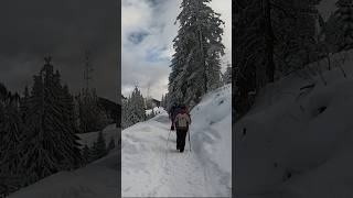 Iarna la Diham romania mountains munte snow hike nature travel shorts muntiibucegi [upl. by Diet]