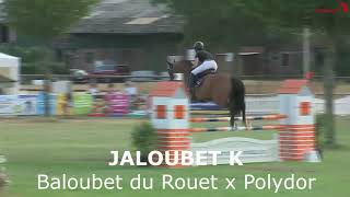 Jaloubet K VDL Baloubet du Rouet x Polydor x Pakt Taloubet Z [upl. by Anaidni]