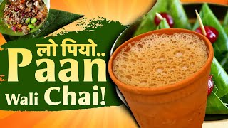 Delhis Famous Paan Chai  Delhi NCR Food Tour  Honest Food Review [upl. by Lynett]