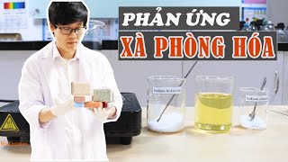 Phản ứng XÀ PHÒNG HÓA 📚 Làm xà bông quá đơn giản👍 Mr Skeleton Thí Nghiệm [upl. by Dragon922]