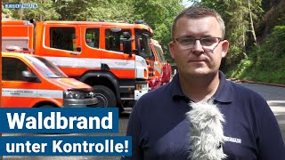 Der Waldbrand in der Böhmischen Schweiz ist unter Kontrolle [upl. by Nwad68]