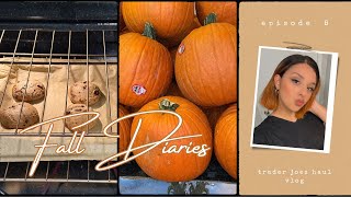 OCTOBER FAVES TRADER JOES HAUL I fall vlog [upl. by Ruzich24]