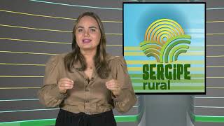 SERGIPE RURAL  PROGRAMA 478 [upl. by Zurc]