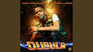 Dubula feat DJ Latimmy Remake [upl. by Airotkciv]