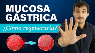 ¿CÓMO REGENERAR la MUCOSA GÁSTRICA 🔴 Método 32 RECUPERA tus DIGESTIONES [upl. by Mariele746]