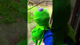 Sad Kermit meme [upl. by Najram]