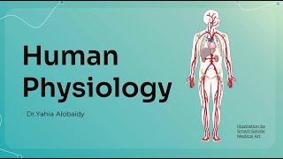 endocrine physiologyBasic concept of endocrine regulation part 1 [upl. by Latoniah59]