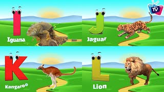 Animals ABC Song  Animals Alphabet Song for Kids  Alphabet Letters  Phonics for Kids [upl. by Mitinger]