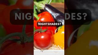 Nightshades 🍅 🍆 🥔 🫑 [upl. by O'Malley429]