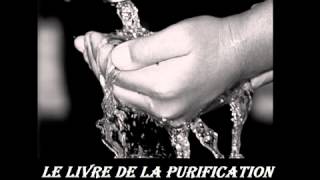 0913 Le lavage ghusl et ses piliers  Jurisprudence sur la purification  Youssef Abu Anas [upl. by Adnoryt]