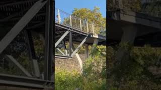 A moment in BrooklynThe Squibb Park Bridge 🌉 Brooklyn Bridge Park 🌉 NY USA 🇺🇸 [upl. by Ojoj]