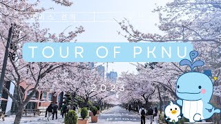 Tour Of Pukyong National University PKNU In South Korea  부경대학교의 캠퍼스 견학 [upl. by Ronni]