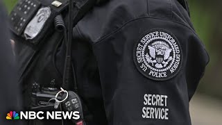 Secret Service agent on leave after alleged groping incident with Harris staffer [upl. by Adnilrem46]