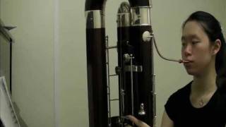 Contrabassoon Fun [upl. by Ard]