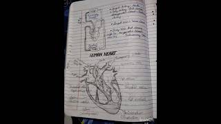 Chapter 1 st life process all important diagrams 20242025class10viral [upl. by Nonek]