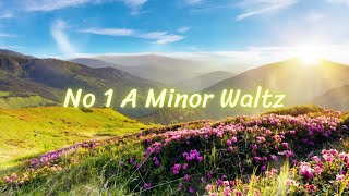 Esther Abrami  No1 A Minor Waltz [upl. by Assed731]