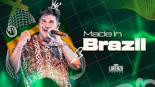 Made In Brazil  Lorenzo Fortes  Baile do LF Clipe Oficial [upl. by Inavoy70]