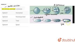 Meroblastic cleavage is division [upl. by Aneled]