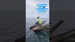 Mancing di Nipah Hanyut fishing angler adrenalin rumponalami tesnyali sarangikan spearfishing [upl. by Akemahs]