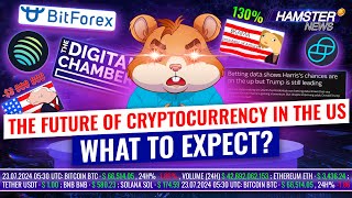 Kamala Harris meme coin surge BitForex returns 8M trader loss ⚡️ Hamster News [upl. by Anoiek]