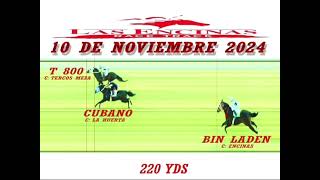 T800 vs CUBANO vs BIN LADEN  10 NOV 24 Pista Las Encinas Race Track [upl. by Ttezil]