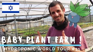 Baby Plant Farm   agriculture in Israel  HWT 31 [upl. by Emelin]