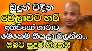 බුදු පහන තියන වෙලාවට හරි ඉතිපිසෝ ගාථාව මෙහෙම කියලා බලන්නපුදුම පිහිටක්Ven Boralle Kovida Thero 2024 [upl. by Angie]