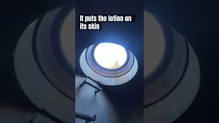 Manhole  It puts the lotion on its skin like shorts davidspade funny subscribe click [upl. by Abran]