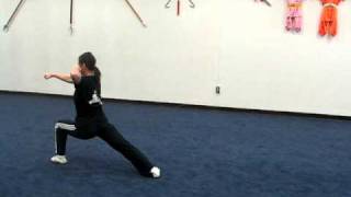 Wushu Basic Tao Lu Lian Huan Quan 连环拳） [upl. by Enialahs]