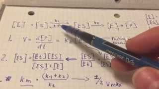 Deriving the michaelis menten equationsort of [upl. by Odnesor]