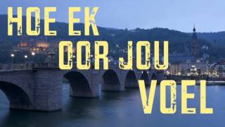 Dewald Wasserfall  Ek en Jy Liriekvideo [upl. by Atyekram]