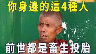 知人知面不知心，你身邊的這4種人都是畜生轉世，遇到了一定要遠離！【曉書說】 [upl. by Enaamuj216]