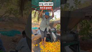 शराब कैसे बनाते है  How is wine made [upl. by Nickelsen]