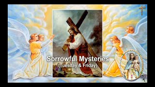 SORROWFUL MYSTERIES TUESDAY amp FRIDAY [upl. by Cyndia174]