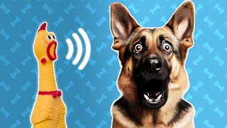 5 Squeaky Toy Sound For Dogs  Dog Sounds and Noises [upl. by Philbrook]