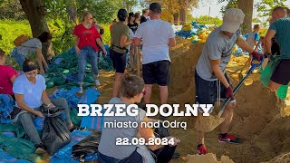 Brzeg Dolny  miasto nad Odrą  22092024  Tydzień pracy za nami [upl. by Peppie]