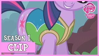 Twilight the AllTeam Organizer Winter Wrap Up  MLP FiM HD [upl. by Enisaj]