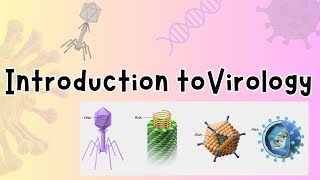 Introduction to Virology  History of Viruses  LEC 1 microbiology [upl. by Jaquenetta]