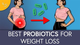 Top Probiotic Strains for Weight Loss [upl. by Allin]