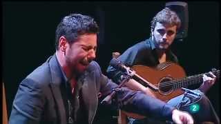 Miguel Poveda  quotAlegriasquot  Flamenco por Lorca  26062011 [upl. by Ijar300]