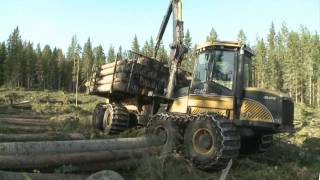 Eco Log 594C Forwarders Machine Forestry Logging [upl. by Maroj426]