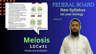 Meiosis  Stage of meiosis  Significance of meiosis  class 11 [upl. by Mauri734]