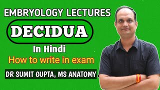 Decidua in pregnancy  Embryology Lecture [upl. by Sorips]