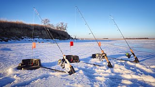 Lining Up iFISH PROS For The BIGGEST FISH OF THE TRIP Early Ice Fishing [upl. by Salomone]