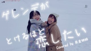 【姉妹でハモる  MV】ゲレンデがとけるほど恋したい  広瀬香美 Covered by 奈良姉妹 [upl. by Nolur161]